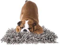 Tapete De Detecção Para Cães Não Tóxico Estimula Forrageio Natural