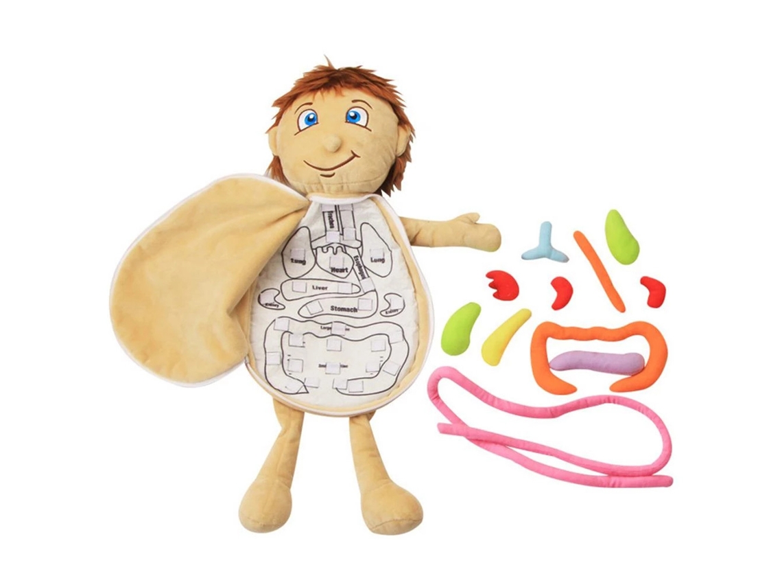 Brinquedo De Anatomia Do Corpo Humano Modelo De Boneco De Órgãos Educativo Pré-escolar Para Crianças