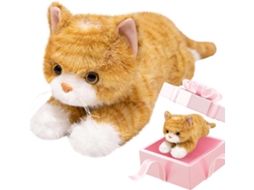 Gato peludo com peso