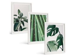 Conjunto De Pinturas Hastes De Bambu E Folhas De Monstera Espelharte (3 Peças 40x60 Cm)