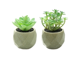 2 Peças de Suculentas de Simulação Bonsai Diamante Grande Ornamentos Pequenos Criativos para Interiores Vaso de Flor Artificial RNEMITERY