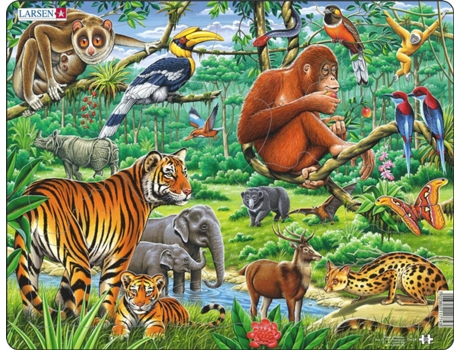Puzzles LARSEN LA-FH24