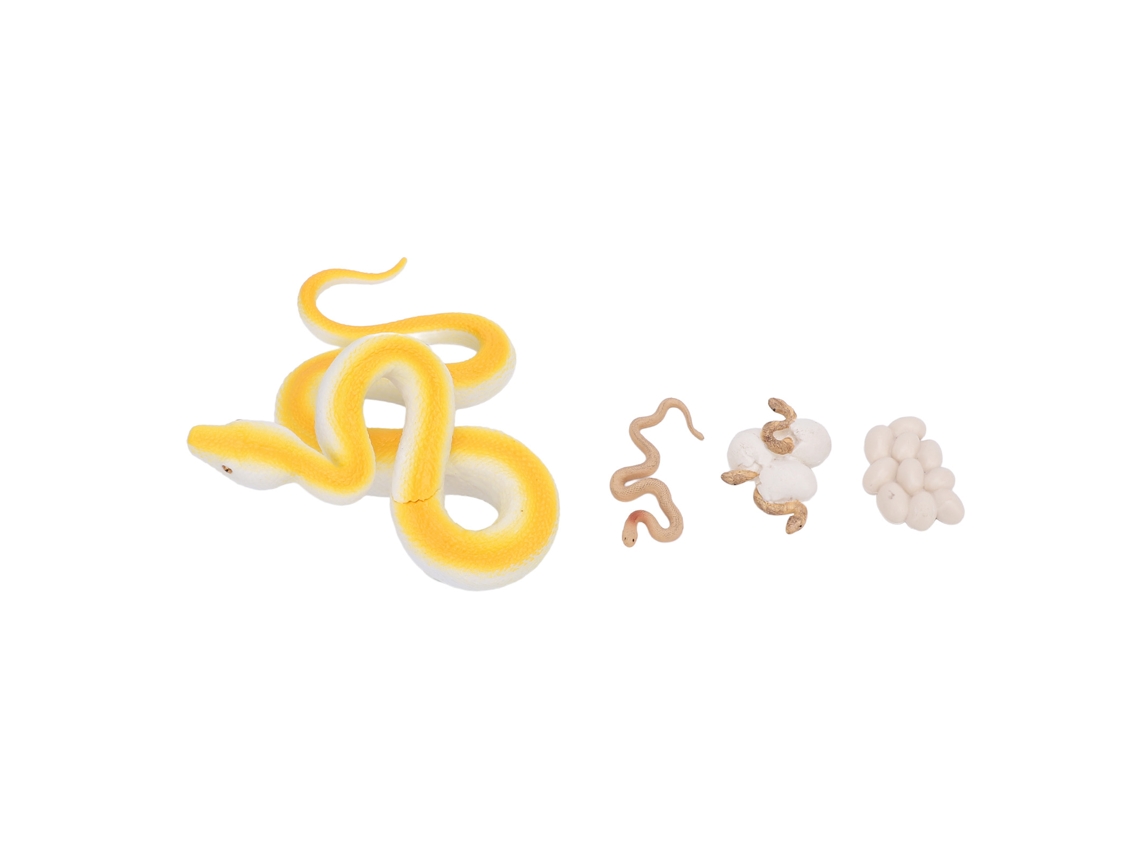 Walshlxq brinquedo de Ciclo de Vida de Serpente: Figuras e Modelos Educacionais para Aprendizagem e Decoração