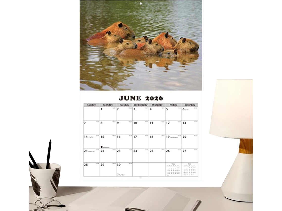 Calendário de Parede 2026 Tema Animais Anual com Mensais para Amigos, e CHABERLU