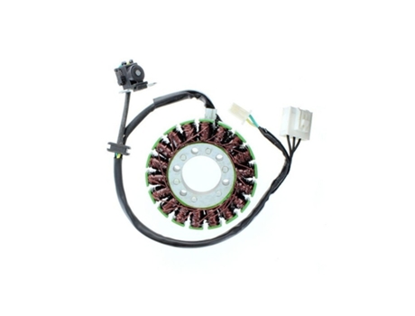 Alternador de motocicleta adaptável original Electrosport Kawasaki