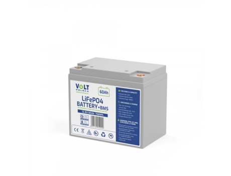 Lithium Iron Phosphate Lifepo4 Battery 12v 60ah 60a Volt Polska