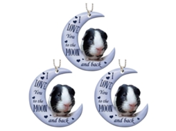 3pcs Pingentes de Sapo na Lua Decorativos de Acrílico para Carro e Árvore de Natal | S/MARCA