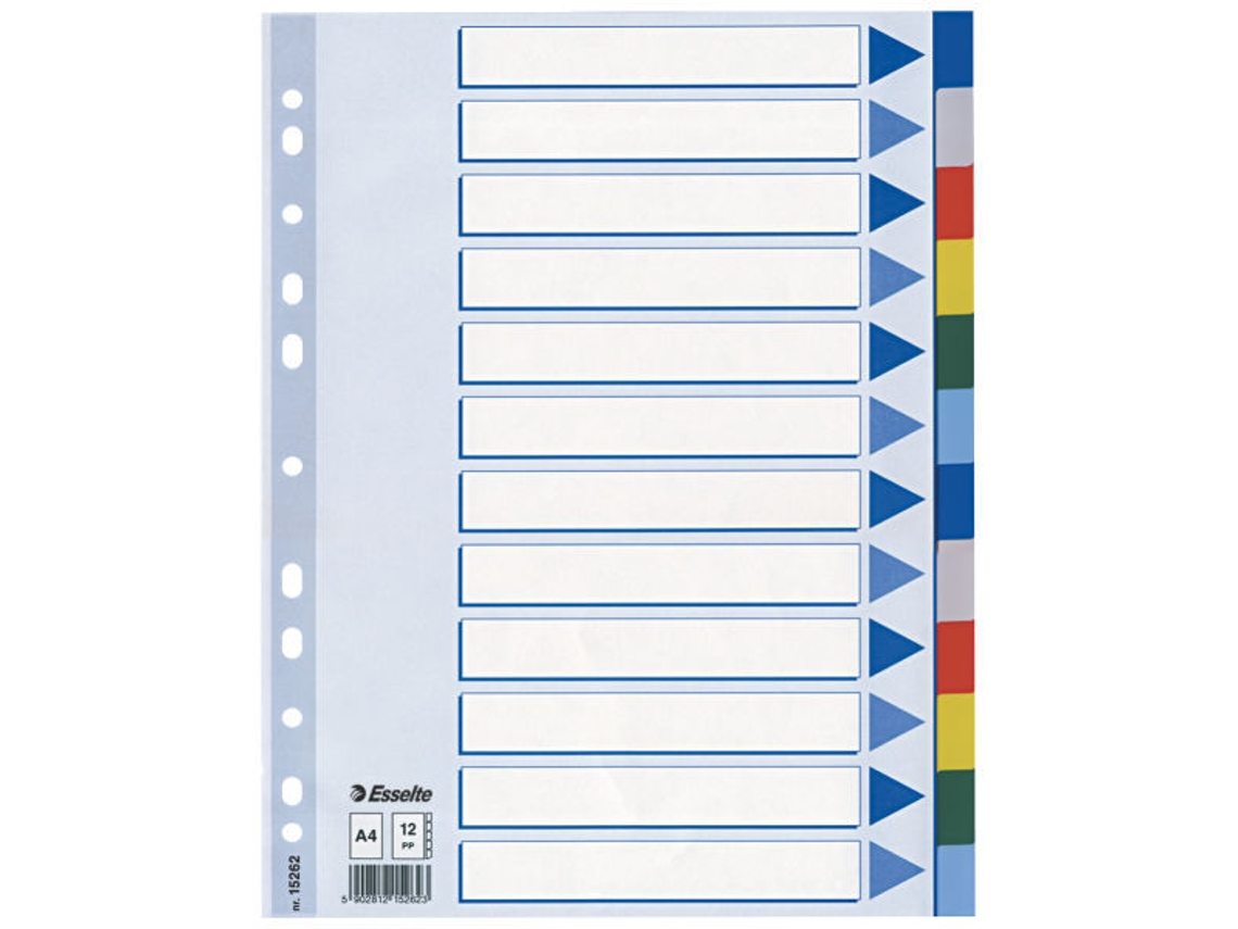 15262 Índice Tab Blank Divider Com Aba Multicolor Polipropileno Esselte (pp)