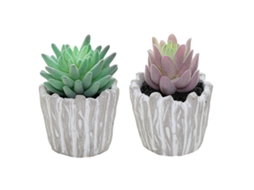 2 Peças de Suculentas Simuladas em Vasos Retro Ornamentos para Decoração Interior NEVEANCE