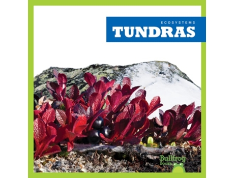 Livro Tundras de Nadia Higgins (Inglês - Capa Dura)