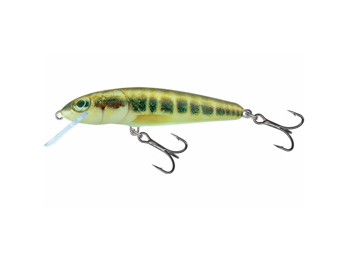 Engodo Flutuante Salmo Minnow 6G