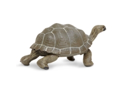 Safari Ltd Tortoise 2