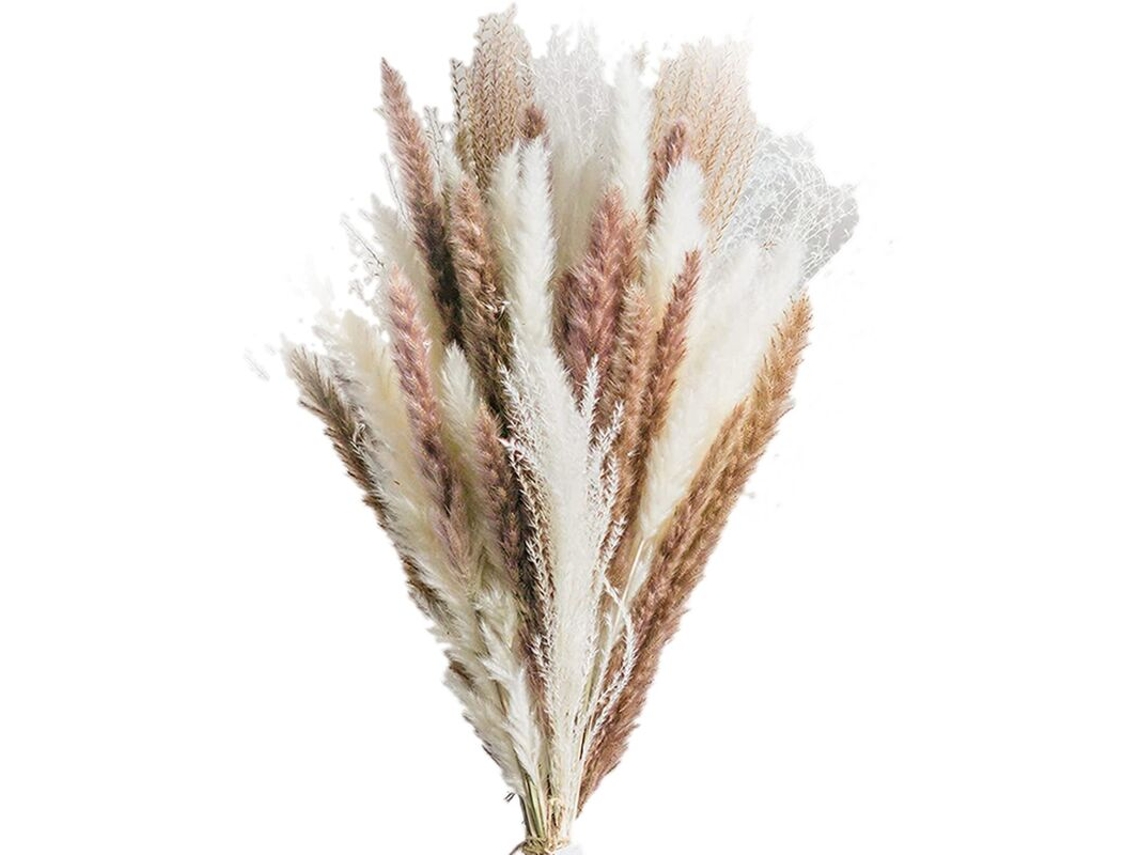 Conjunto de 50 Peças de Capim dos pampas Seco para Decoração de Casa, Casamentos, Festas e Eventos. Flores Artificiais para Decoração. AQUAFORGE
