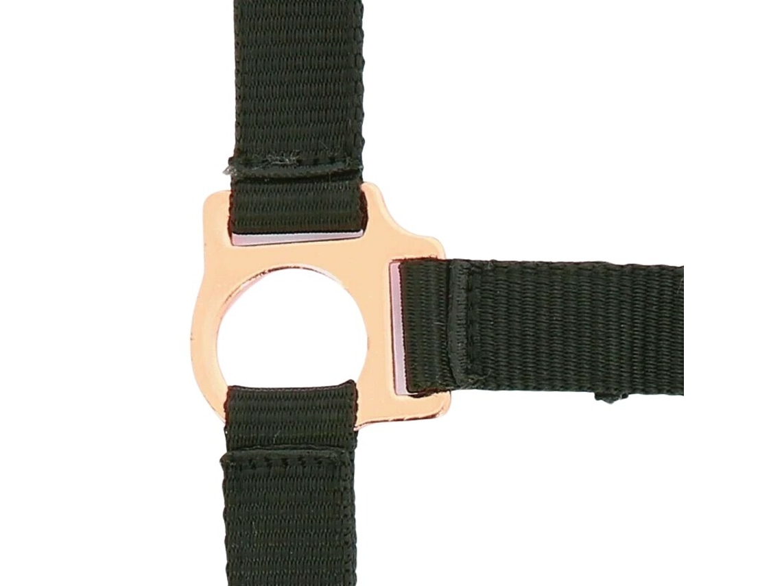 Cabresto para cavalos Norton Rose gold