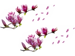 2 Adesivos De Parede Magnolia, Adesivos De Pvc Autoadesivos Para Interiores