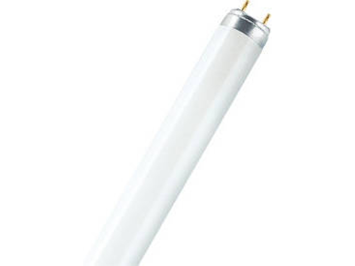 Lâmpada Fluorescente OSRAM Lumilux T8