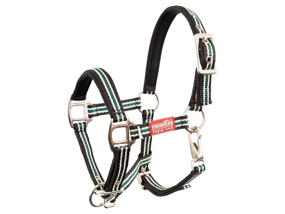 Cabeçada Foal Vivid Neoprere Lining Preto Foalpremiere
