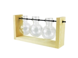 Baok - Vaso hidropônico de vidro simples com suporte de madeira para plantas decorativas e terrários.