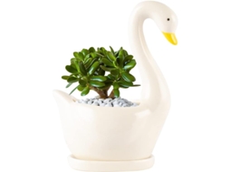 Vaso De Cerâmica Em Forma De Cisne Para Plantas Succulentas E Cactos Decorativo Jardim Office Lar
