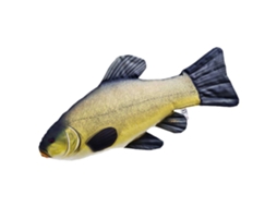 GABY The Tench Medium