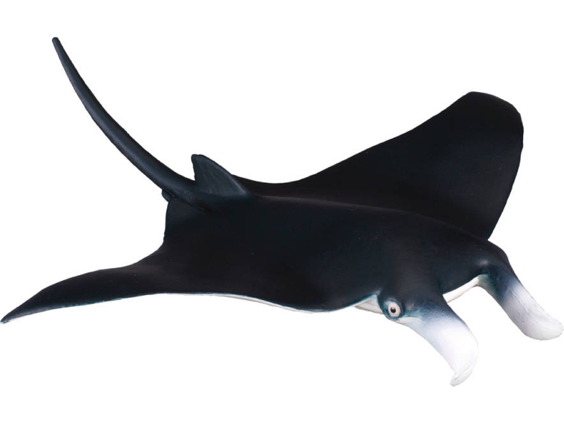 Figura COLLECTA raio de Manta