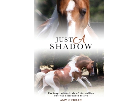 Livro Just A Shadow Amy L Curran (Inglês)