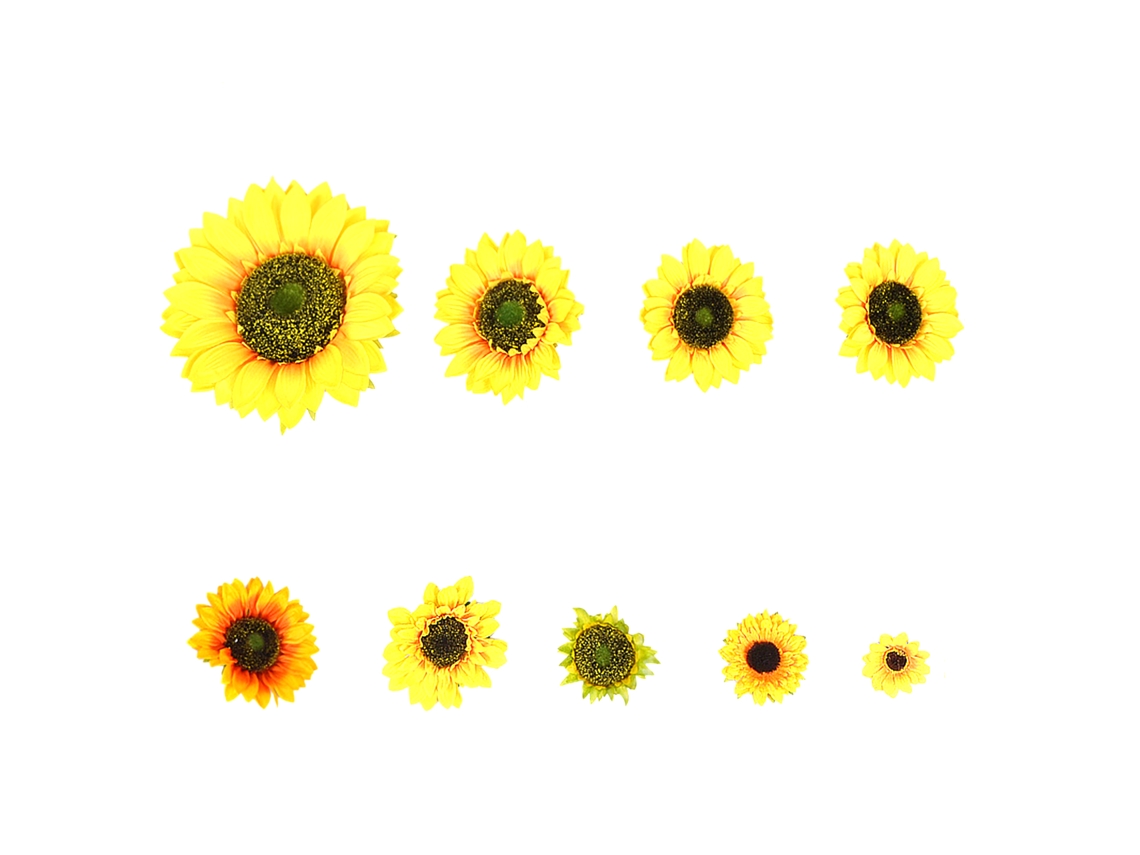 Cabeça De Girassol Artificial (amarelo Puro, 26cm)