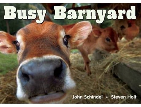 Livro Busy Barnyard de John Schindel (Inglês - Capa Dura)