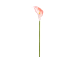 Flor de lília miniatura artificial para decoração fake flower de alta qualidade LAXISCREED
