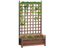 Vaso de Madeira com Treliça para Plantas Trepadeiras, 64x28x120cm, Marrom
