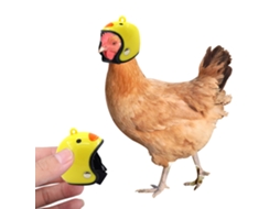 Capacete para Aves Cartoon Ajustável Pequeno Pet | S/MARCA
