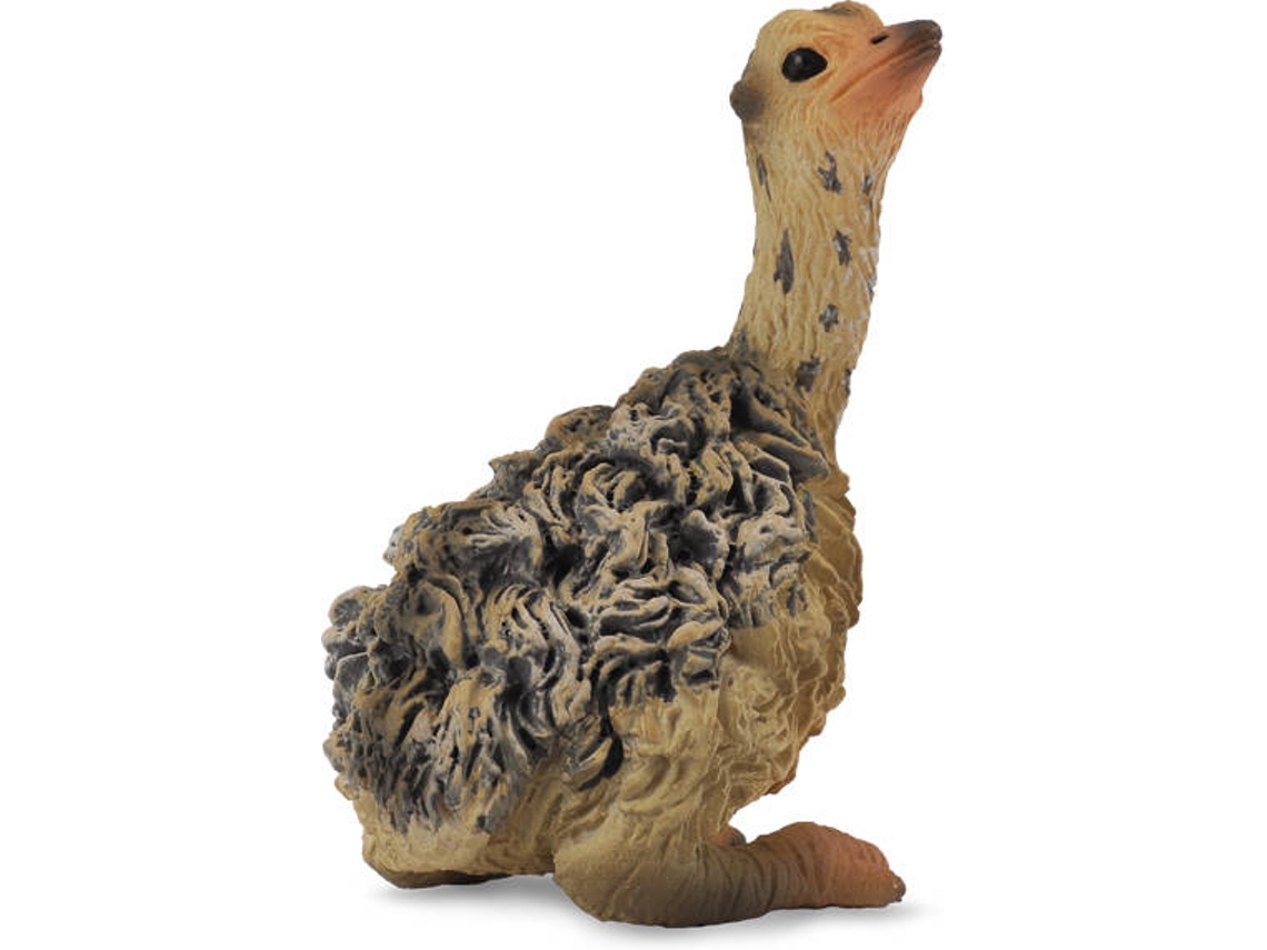 Figura COLLECTA 9588460