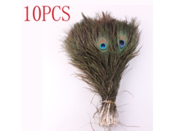 Lote de 10 penas de pavão naturais para artesanato (23-30 cm/10-12 polegadas)