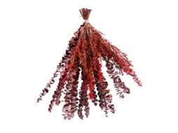 Ramo de Banheiro Eucalipto Natural Preservado Ch 026