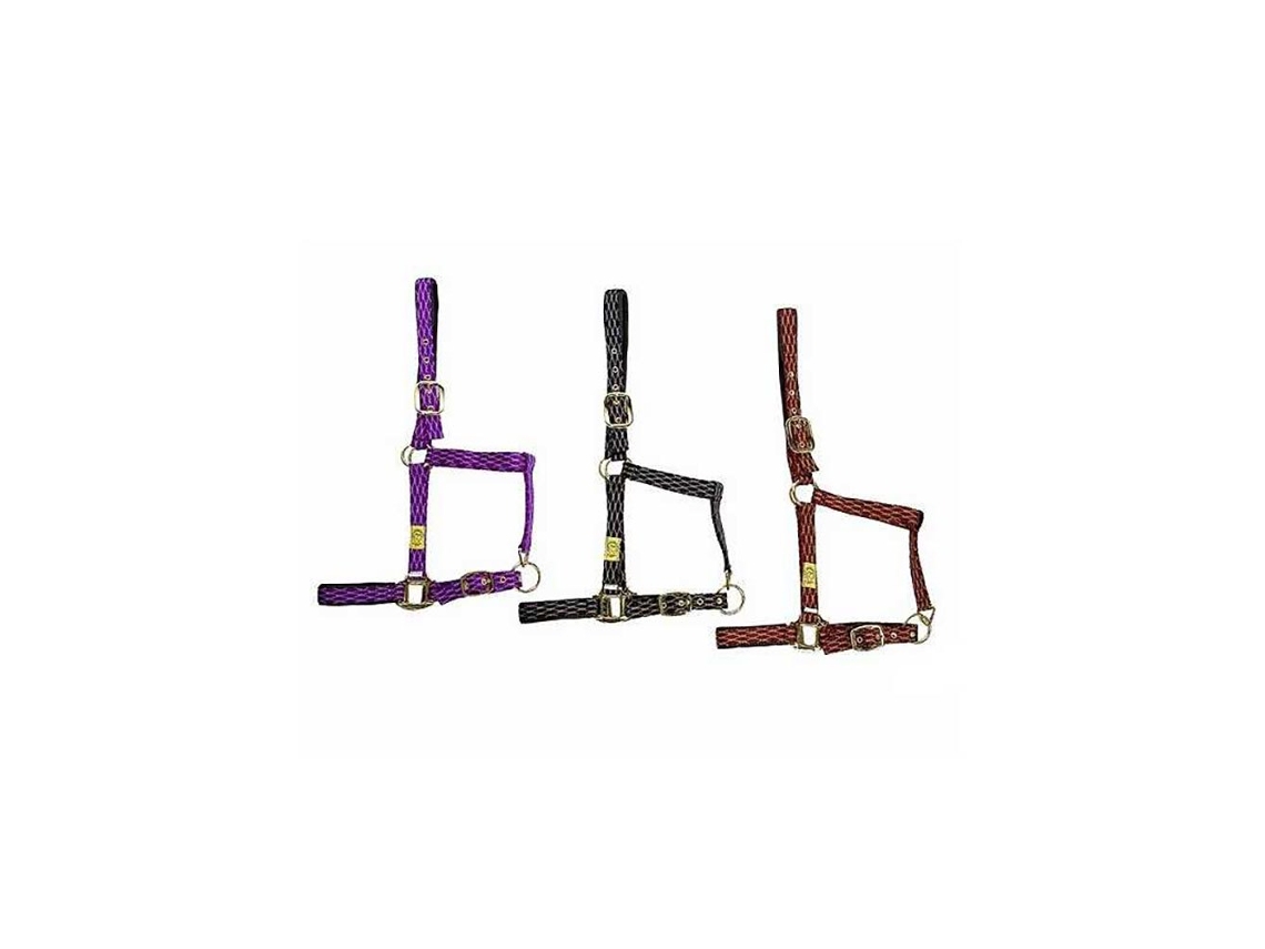 Padrão Losango Reforçado Muserola Nylon Roxo Ponymarjoman Distribucion