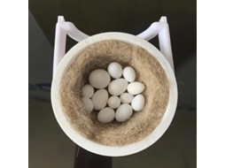 Conjunto de Ninhos Duráveis para Reprodução de Aves Casa de Plástico para Pássaros Suspenso com Segurança e Suporte Resistente, Ergonôm... STELASPLEN