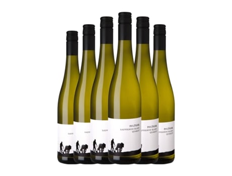 Vinho branco PFLÜGER Vom Quarzit Sauvignon Branca Seco Pfälz (0.75 L - 6 Unidades)