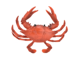 Ats modelo de Cangrejo Realista de Plástico Juguete Educativo Animales Marinos Cangrejo Juguete (pl127777 Rojo)