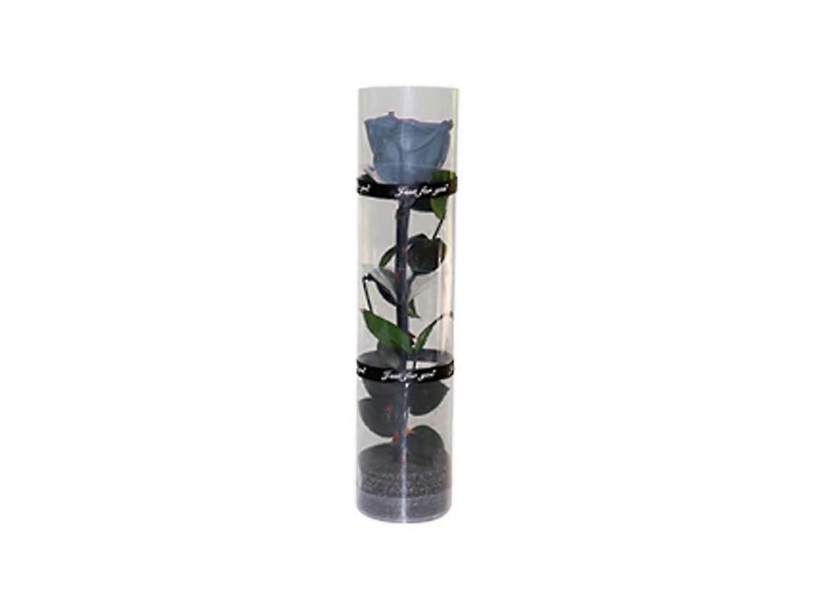 Omni rosa Preservada Real, Rosa Eterna com Caule e Folhas Reais, Flor Duradoura para Presente Azul Grisáceo