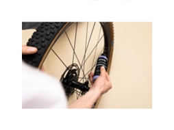 Selante Tubeless Barkeeper 5L Douradodynamic Bike Care