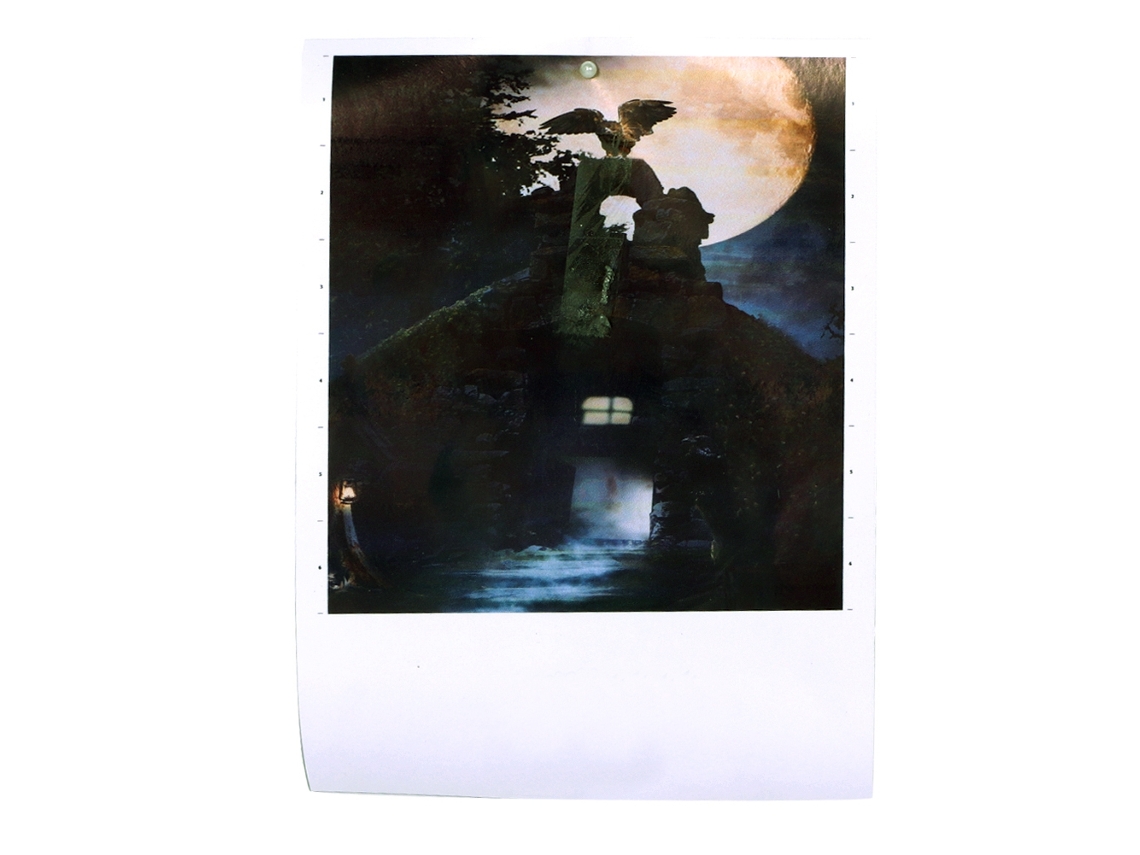 Decoração Halloween Escadas Decalcomanias Coruja 3d Removíveis