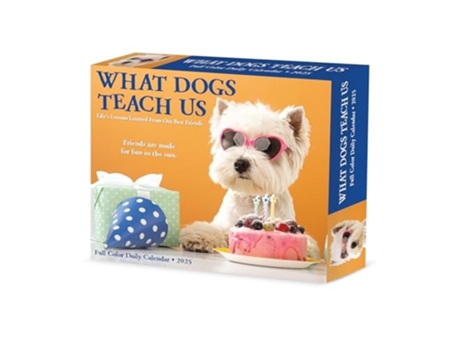 Livro What Dogs Teach Us 2025 6.2 X 5.4 Box Calendar de Willow Creek Press (Inglês)