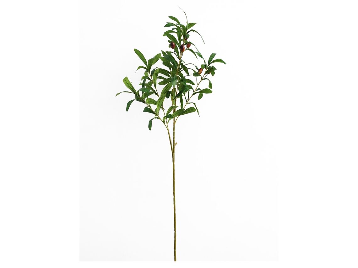 Ramificação Artificial de Oliveira com Folhas e Baga LAXISCREED