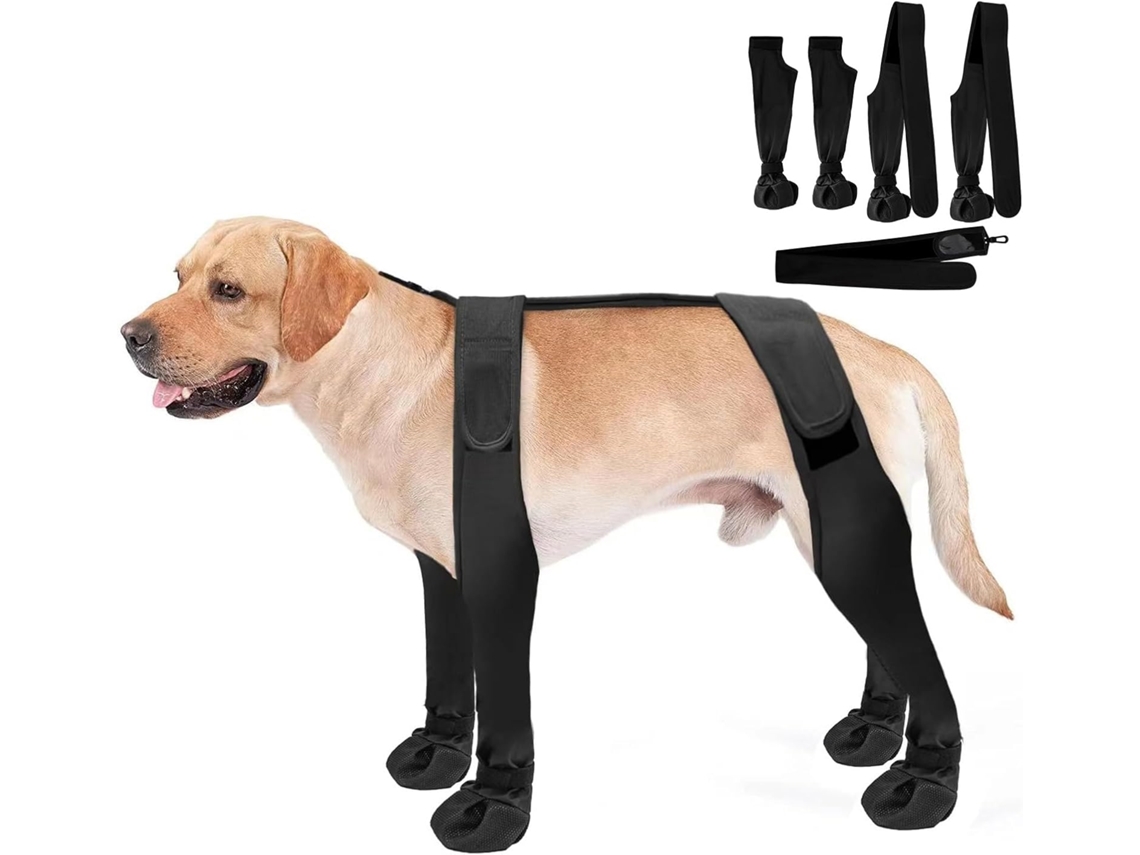 Calças Legging Cachorro Com Botinhas