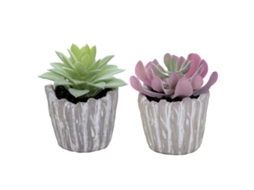 2 Peças de Suculentas Simuladas em Vasos Retro Ornamentos para Decoração Interior NEVEANCE