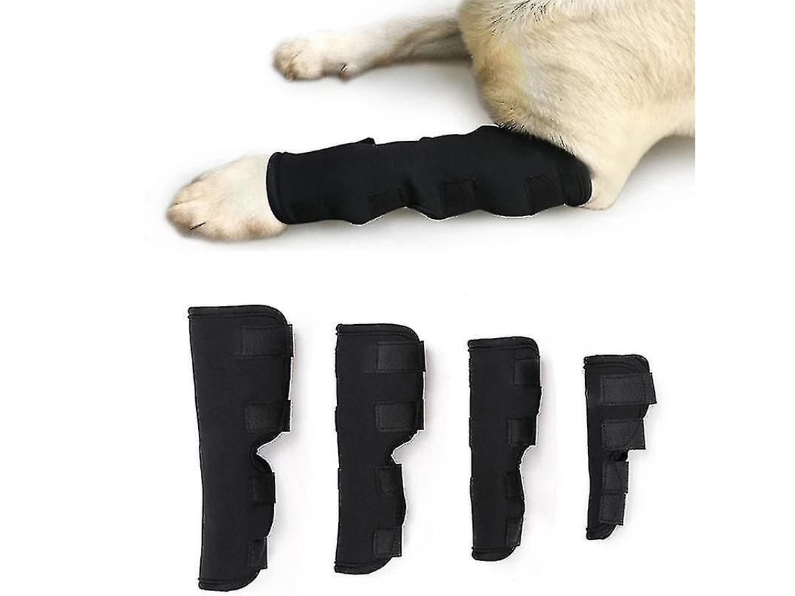 2026 funda de Soporte para Tornozelo de Cão com Compressão e Proteção de Articulações, Tamanhos S M L XL