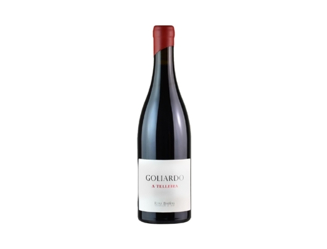 Goliardo a Telleira Tinto 2019 FORJAS DEL SALNÉS