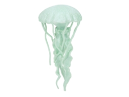 Primerox brinquedo de Água viva Modelo de Criaturas Marinhas Oceano Educativo Presente para Crianças