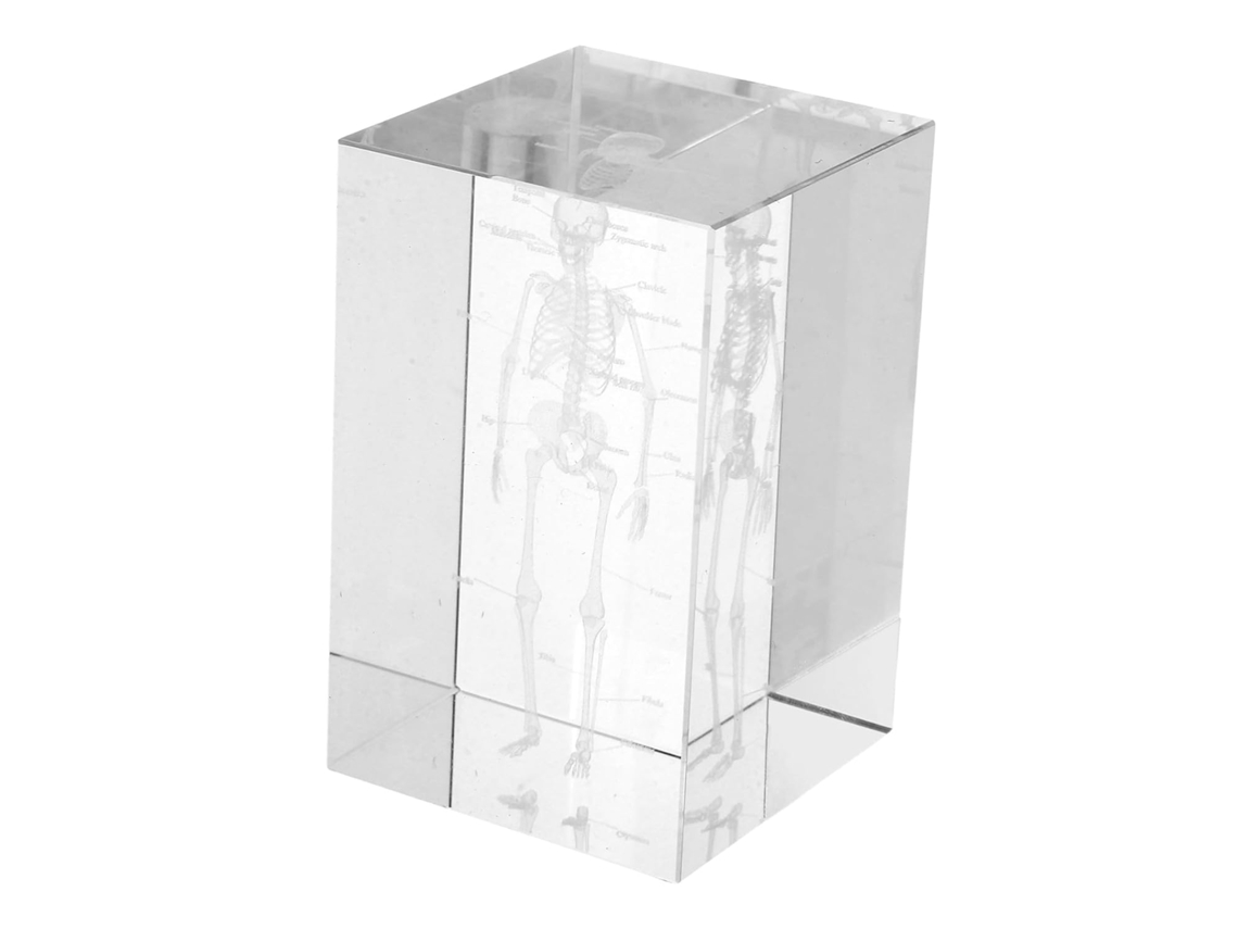 Tesoura de Aço para Cascos SFUSHOS
