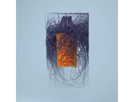 Plaid Polymer Cd 2019 Warp Records